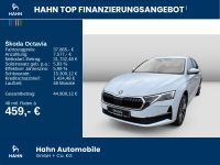 Skoda Octavia - Vorschau Bild 2