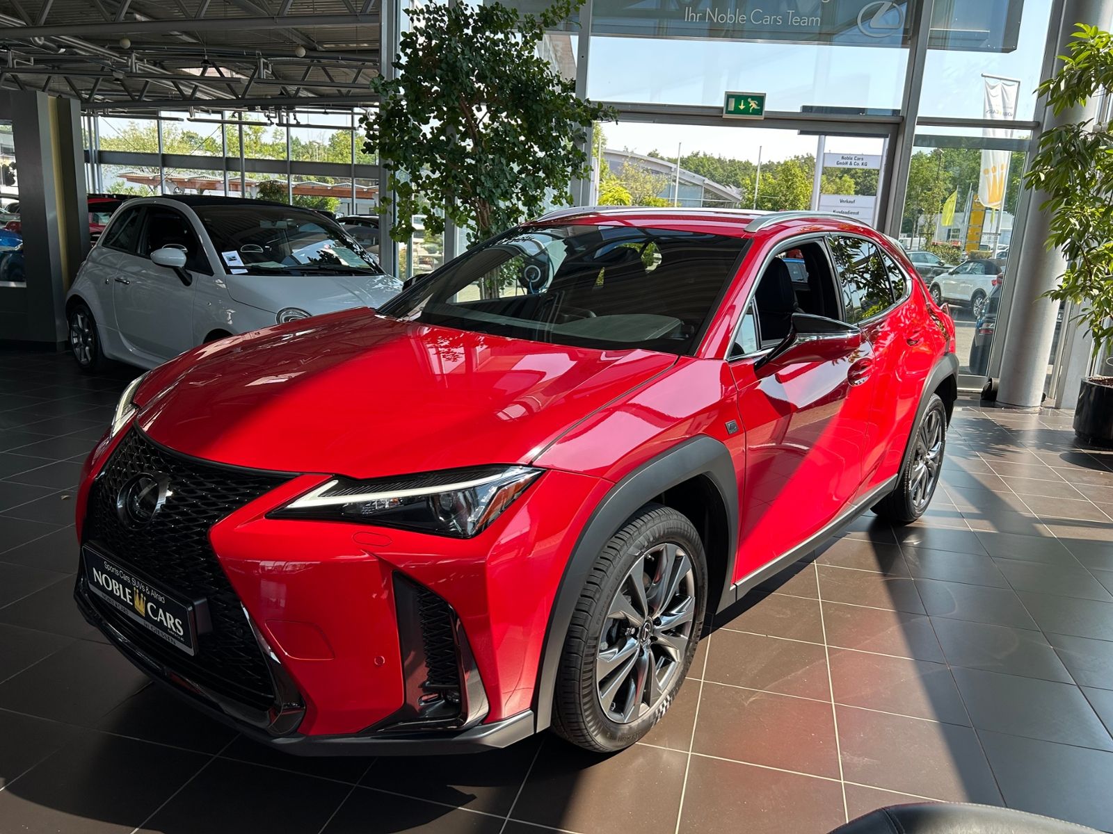 Fahrzeugabbildung Lexus UX 250 h F Sport HUD LED NAV RFK SHZ ALU