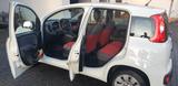 Fiat New Panda MyStyle 1.2 8V 51kW - Fiat Panda: Mystyle