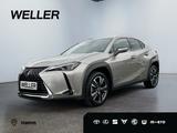 Lexus UX 250h Style Edition *Bi-LED*ACC*CAM*SHZ*CarPla - Lexus Gebrauchtwagen in Hamm