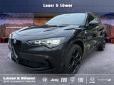 Alfa Romeo Stelvio Quadrifoglio Benzin 519 PS AT *PANO* - Alfa Romeo Gebrauchtwagen