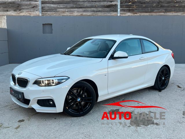 BMW 220i Steptronic M Sport Shadow Navi HiFi Leder