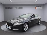 Jaguar XF Prestige Leder/Bi-Xenon/Automatik/Navi/RFK - Jaguar XF in Hamburg