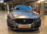 Jaguar Prestige 20t Benzin Leder Panoramadach 89tkm - Jaguar XE: Prestige