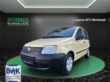 Fiat Panda 1.1 8V Active~SERVOI~ALLWETTERREIFEN~sehr  - Fiat Panda: Active