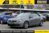 Volkswagen Golf VI Cabriolet 1.6 TDI BMT Klima/Sitzhzg./BC - Volkswagen Golf mit Diesel-Antrieb: Cabrio, 1.6
