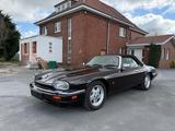 Jaguar XJS Autom/Leder/Klima/DeutschesModell - Jaguar mit Benzin-Antrieb: Cabrio