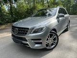 Mercedes-Benz ML 350 AMG-Line Super optik Top Ausstattung - Mercedes-Benz ML 350