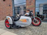Harley-Davidson FXLRS Softail Low Rider S Gespann Dirt Tracker