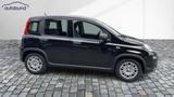 Fiat Panda 1,0  Hybrid (MHEV) Pandina Base NBA PDC SH - Gebrauchtwagen in Bielefeld bis 15.000 Euro