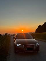 Audi A3 8P Quattro Allrad 2.0 TDI 170 Ps - Audi A3: 170 TDI