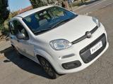 Fiat New Panda 1.2 Young Idonea neopatentati Uni - Fiat Panda: Young