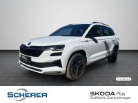 Skoda Karoq - Vorschau Bild 1