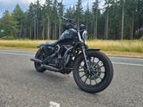 Harley-Davidson Sportster 883 XL883N Custom, Klappenauspuff  - HARLEY-DAVIDSON SPORTSTER 883 CUSTOM