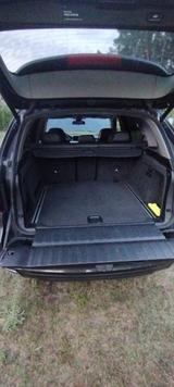 BMW X5 xDrive40d - Eleganter starker Hirsch - BMW: E40