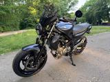 Suzuki Gladius mit ABS - Angebote