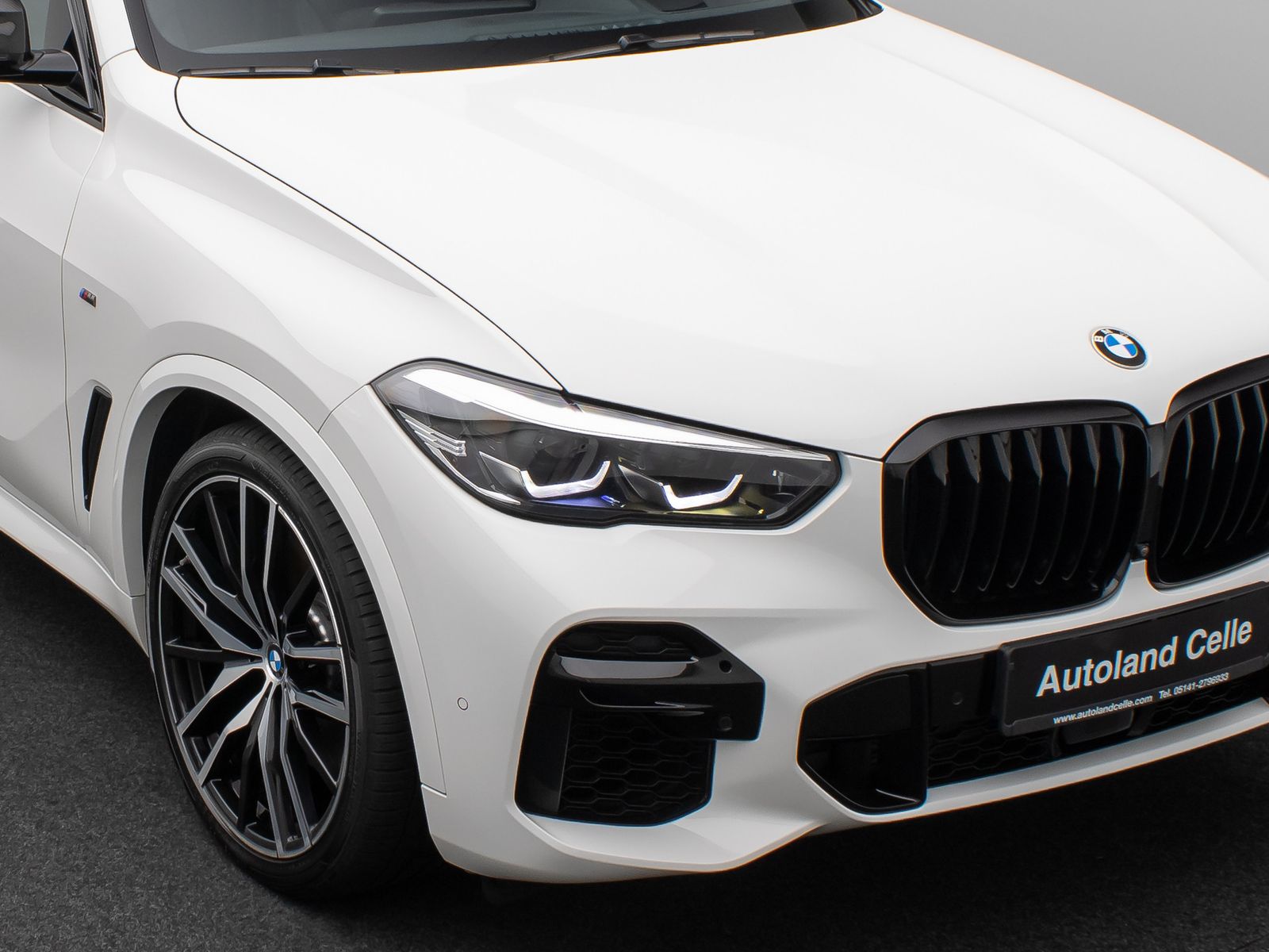 Fahrzeugabbildung BMW X5 M50i Panorama 360° HUD DAB H/K AHK Individual