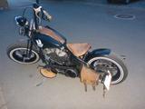 Harley-Davidson Shovel Head - Offers