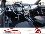 Volkswagen Beetle 1.4 TSI  R-Line DSG |1.Hand|Xenon|Navig. - Volkswagen Beetle: R Line