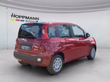Fiat Pandina ICON Hybrid MHEV*KLIMA*PDC*USB*DAB*RADIO - Fiat Panda Tageszulassungen mit Benzin-Antrieb