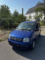 Fiat Panda - Zuverlässiger Stadtflitzer mit Stil  - Fiat Panda Gebrauchtwagen in Mannheim