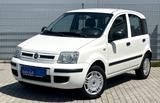 Fiat Panda 1.2 8V Natural Power GASANLAGE, 72 TKM - Fiat Panda Gebrauchtwagen in Karlsruhe
