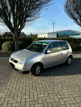 Volkswagen VW Lupo Rave 1.Hand Top Sparsam Zuverlässi... - Volkswagen Lupo: Rave