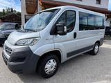 Fiat Ducato Luxusbus Panorama 30 150 L1H1 RS: 3000 mm - Fiat Ducato: L1h1