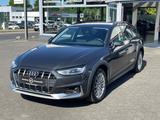 Audi A4 Allroad quattro 40 TDI basis - Audi A4 Allroad aus 2022