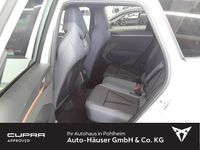 Cupra Terramar - Vorschau Bild 6