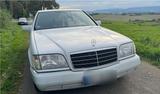 Mercedes-Benz Mercedes S-Klasse W140 300SE - Mercedes-Benz 300 aus 1992: 300se