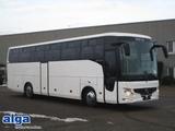 Andere ALGA auf Mercedes-Benz Chassis/Nur Export! - Autotransporter Mercedes