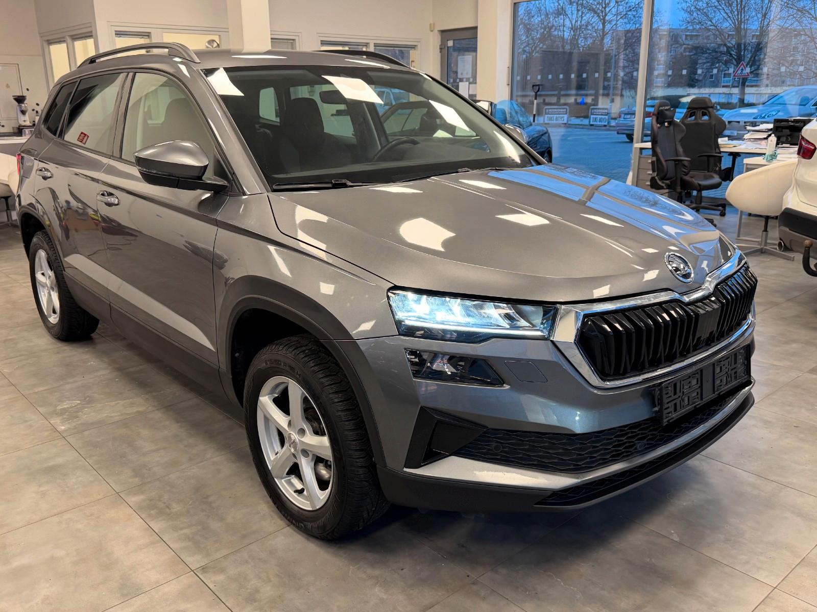 Skoda Karoq 2.0l TDI DSG 4x4 VirtCP*AHK*ACC*LANE*Ga.28