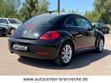 Volkswagen Beetle Lim. Club BMT *Panoramadach* - Volkswagen Beetle CLUB mit Benzin-Antrieb