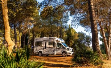 Bild 3 Benimar Tessoro 481 MJ2026 Plus-Pack, Winter-Pack, Marki