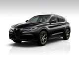 Alfa Romeo Stelvio Intensa 2.0 Turbo 16V 280PS Q4 AT8 AHK   - Alfa Romeo Stelvio Gebrauchtwagen