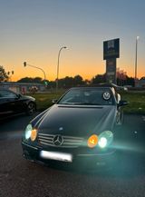 Mercedes-Benz Mercedes CLK 320 Cabriolet aus 1. Hand P... - Mercedes-Benz CLK 320 aus 2004