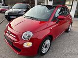Fiat 500 1.0Ltr-51kW(69PS) Cabrio Club - Fiat 500 CLUB mit Benzin-Antrieb