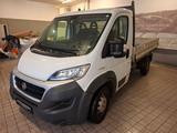 Fiat Ducato Pritsche 2.3 Multijet 130 Maxi - gebrauchte Fiat Ducato aus dem Jahr 2016