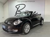 Volkswagen Beetle 50 S Design Edition/Leder/Scheckh/Klima - gebrauchte VW Beetle aus dem Jahr 2014