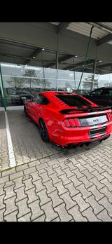 Ford Mustang 3.7L V6 - Ford Mustang: Coupe, V6