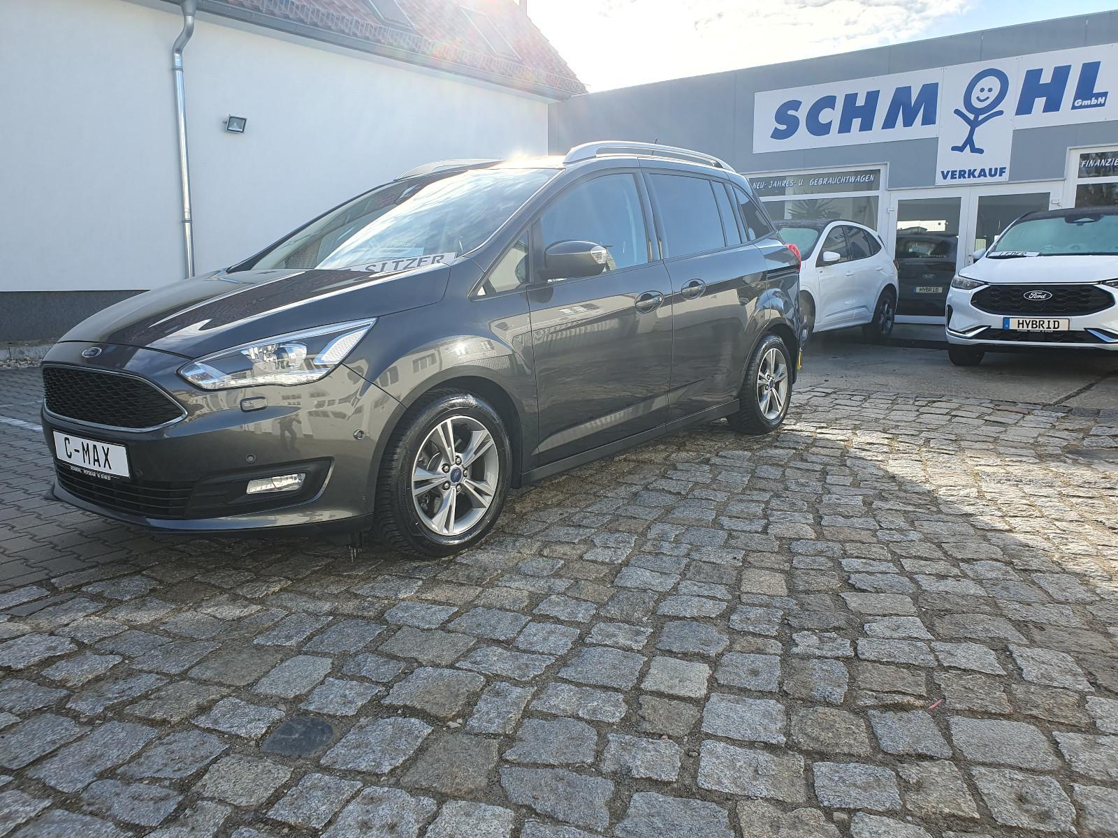 Ford Grand C-Max Grand C-MAX Navi 7 Sitzer Allwetter