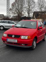 Volkswagen VW Polo 6N 98.000km - gebrauchte VW Polo aus dem Jahr 1999