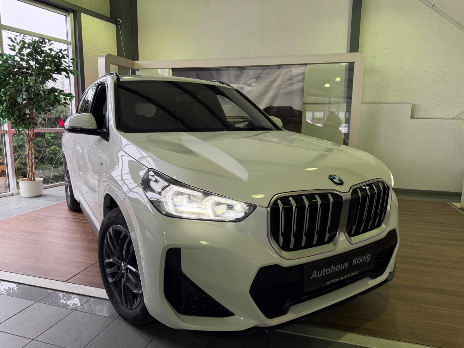 BMW X1 18 i sDrive M Sport / LED / Kamera / Memory