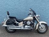 Yamaha XVS 650 DRAGSTAR CLASSIC *GEPFLEGTER ZUSTAND* - YAMAHA XVS 650