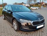 Skoda Octavia 2.0 TDI First Ed. /Zahnriem neu/AHK/Cant