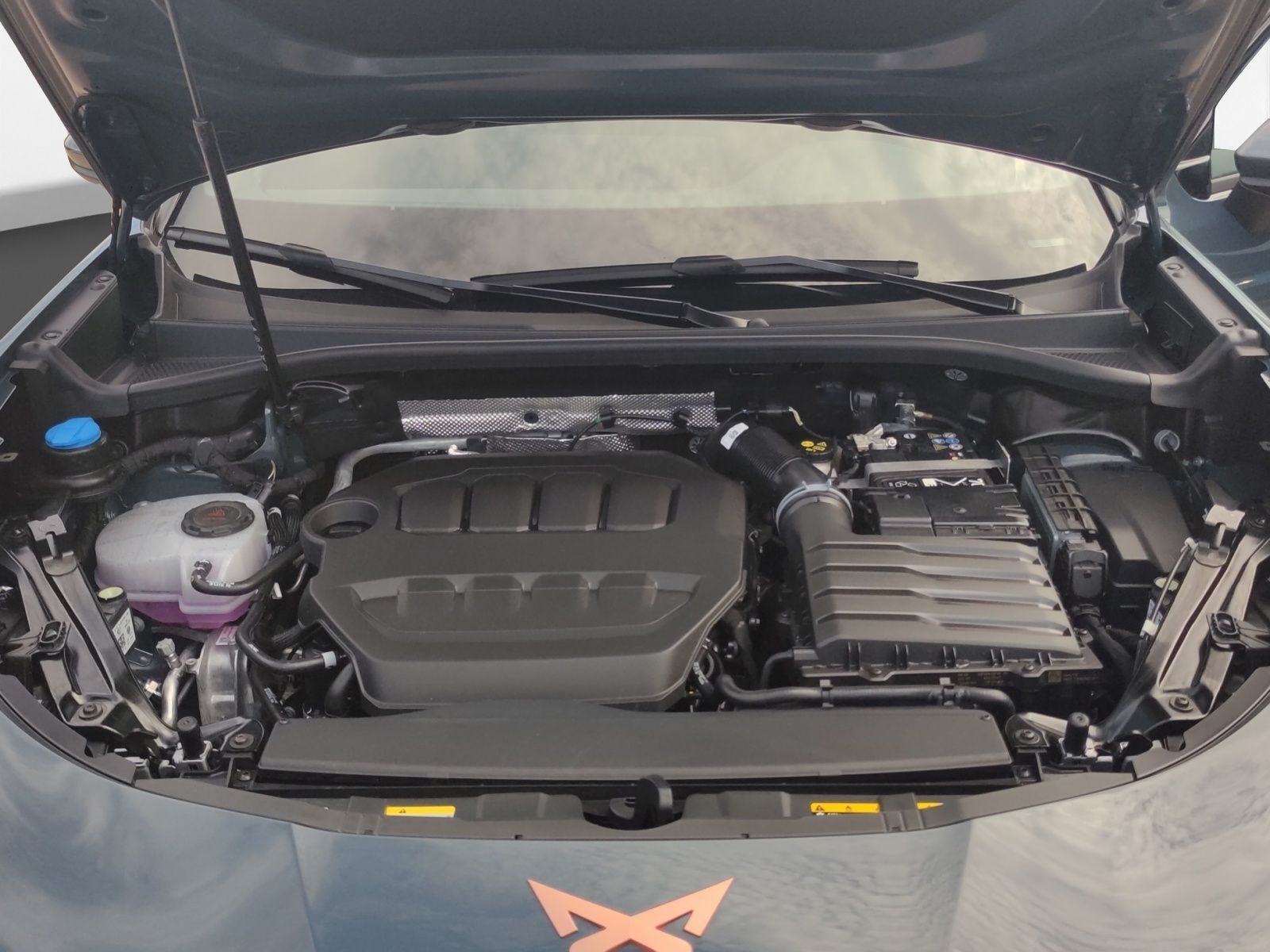 Cupra Terramar - Bild 19