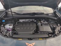 Cupra Terramar - Vorschau Bild 19