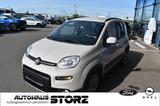 Fiat Panda Rock 4x4 |ALLRAD|KLIMA|6-GANG|GARANTIE| - Fiat Panda: 4.4