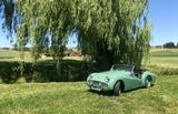 Triumph TR3 - Triumph TR3 Gebrauchtwagen